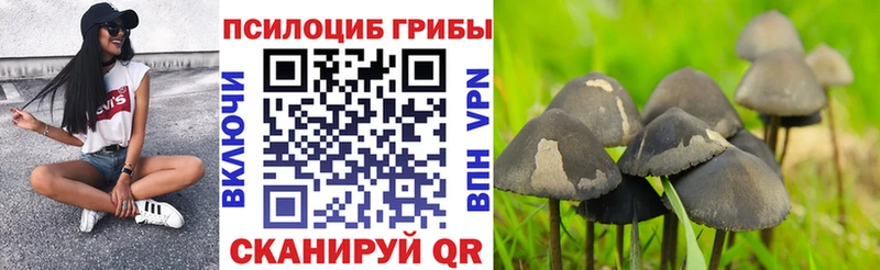 Псилоцибиновые грибы Cubensis  Электросталь 